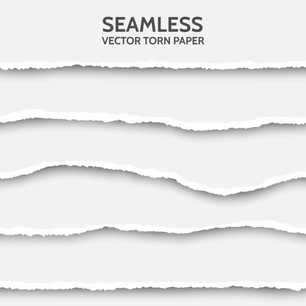 Vector seamless torn paper set on gray background. Vector seamless torn paper set on gray background. Ripped cardboard edge isolated with soft shadows. Template for your design. Sample text ripped paper stock illustrations