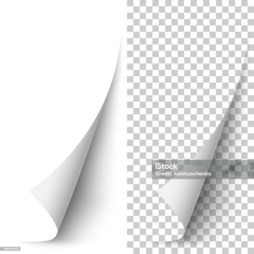 Esquina de papel vertical vector blanco enrollada - arte vectorial de Página libre de derechos