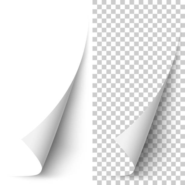 Vector white vertical paper corner rolled up Vector white vertical paper corner rolled up with soft shadow on white and transparent background. 3D page corner curled. Realistic design element. curling stock illustrations