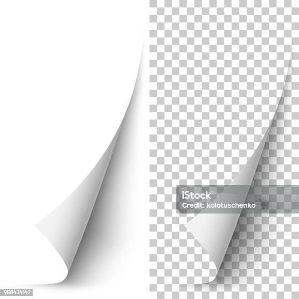 Vector White Vertical Paper Corner Rolled Up Stock Illustration - Download Image Now - Page, Paper, Turning