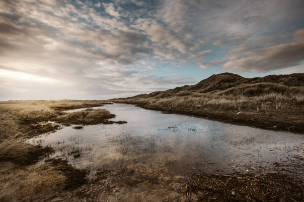 Coast Landscape Island of Amrum, Schleswig-Holstein, Germany