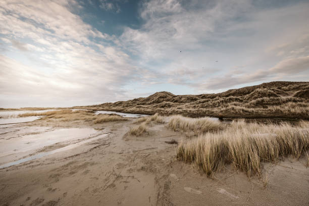 Coast Landscape Island of Amrum Coast Landscape Island of Amrum, Schleswig-Holstein, Germany north sea waves stock pictures, royalty-free photos & images