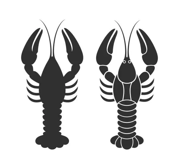 Vector illustration of Crayfish. Isolated crayfish on white background