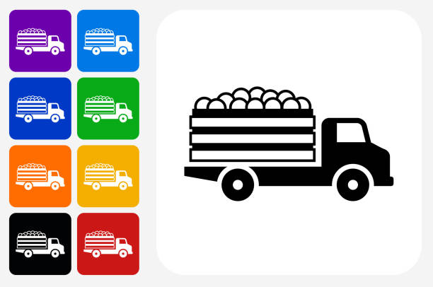 Harvest Icon Square Button Set Harvest Icon Square Button Set. The icon is in black on a white square with rounded corners. The are eight alternative button options on the left in purple, blue, navy, green, orange, yellow, black and red colors. The icon is in white against these vibrant backgrounds. The illustration is flat and will work well both online and in print. indigo truck stock illustrations