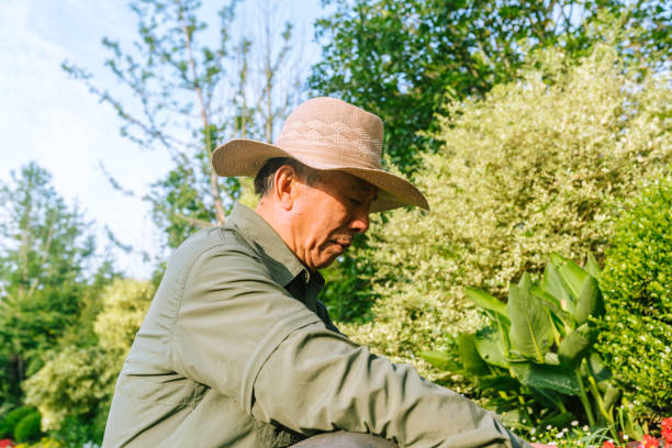 istock old man working in the garden 958438276