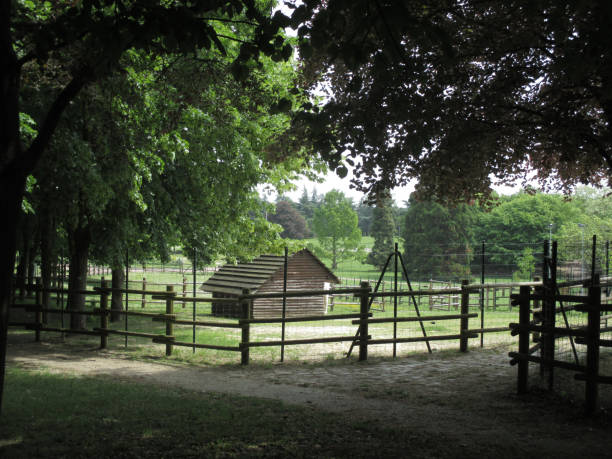 istock Enclosure fence Hut shelter for animals 958442422