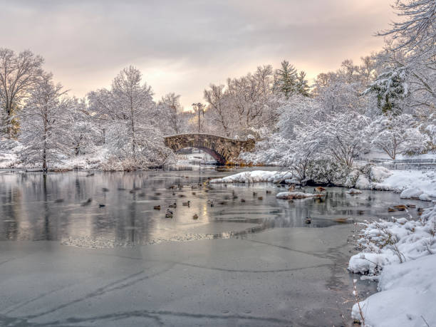 istock Gapstow bridge Central Park, New York City 958449974