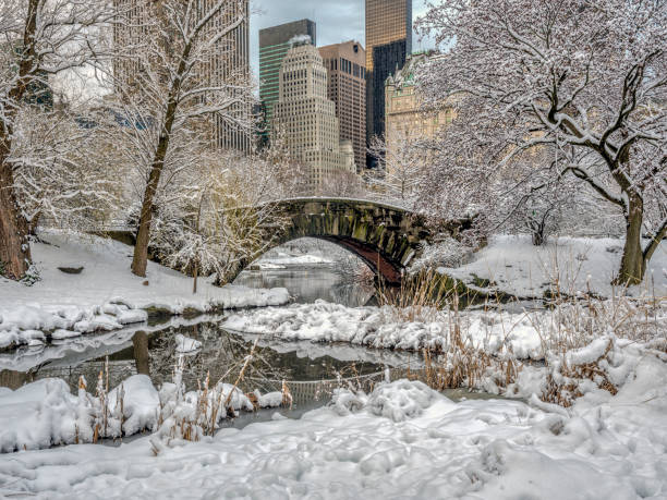 istock Gapstow bridge Central Park, New York City 958450244