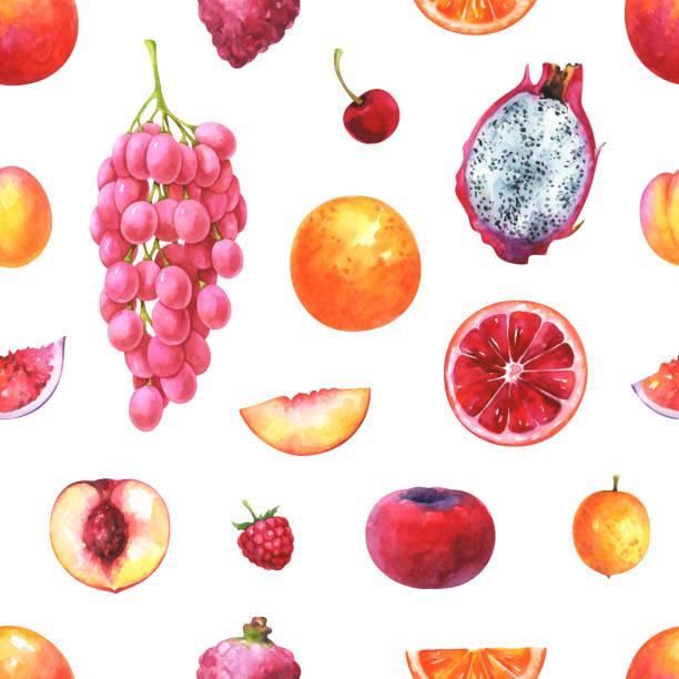 ręcznie malowany bezszwowy egzotyczny wzór owoców - nectarine peach backgrounds white stock illustrations