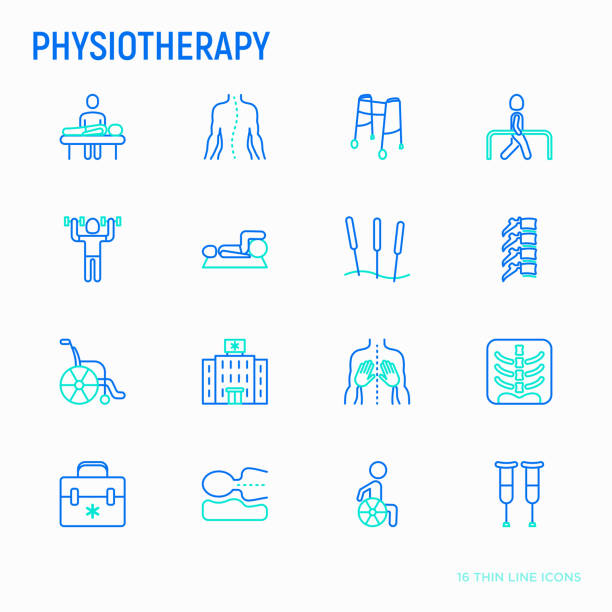 Physiotherapy thin line icons set: rehabilitation, physiotherapist, acupuncture, massage, gymnastics, go-carts, vertebrae; x-ray, trauma, crutches, wheelchair, orthopedic pillow. Vector illustration. Physiotherapy thin line icons set: rehabilitation, physiotherapist, acupuncture, massage, gymnastics, go-carts, vertebrae; x-ray, trauma, crutches, wheelchair, orthopedic pillow. Vector illustration. physical therapy stock illustrations