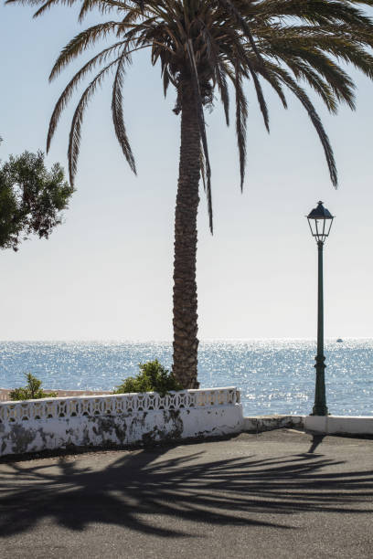 istock Palm Trees and sunshine Lanzarote Spain 958454390