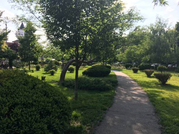 istock Alley in the park 958458090