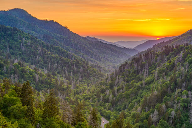 istock Newfound Gap Smoky Mountains 958461188