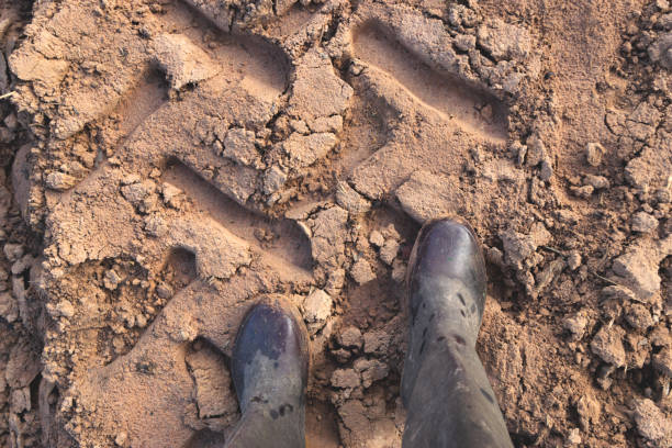 istock The farmer wear boots walking on the soil with suture tractor. 958461620