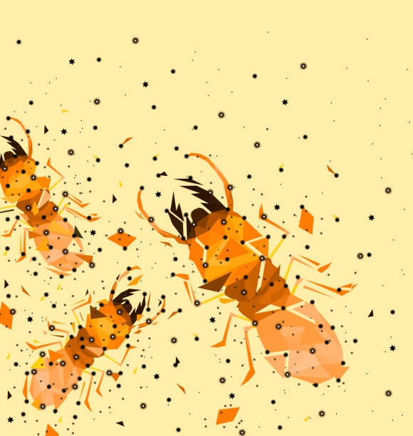 zusammenfassung des low-poly termite mit punkt anschließen, netzwerk, tierische geometrische konzept, vektor. - ant underground animal nest insect stock-grafiken, -clipart, -cartoons und -symbole