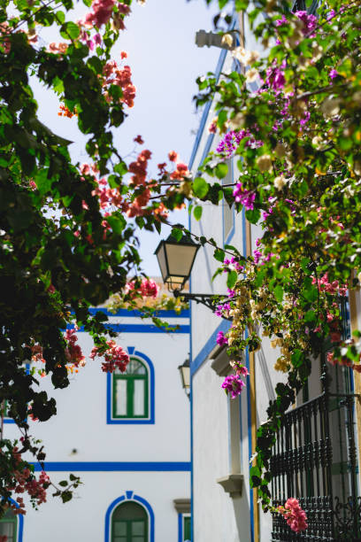 istock Port of Mogan, Gran Canaria 958468652