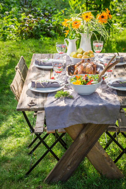 istock Dinner in summer garden with chicken and vegetables 958469048