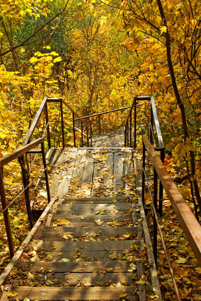 istock stairs in autumn park 958476370