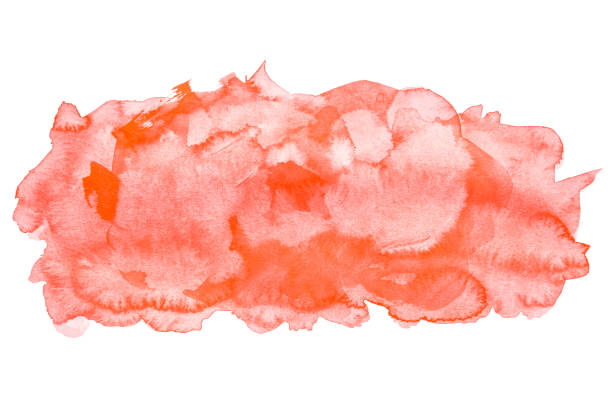 istock Abstract Watercolor Splashing Isolated On White Backgrounds, Hand Paint On Paper. 958480196