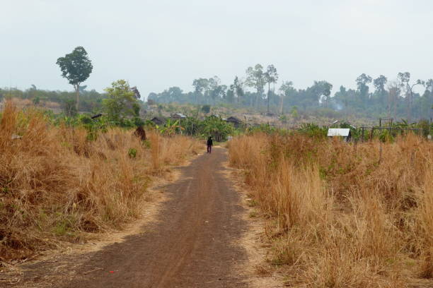 istock Dirt road through barren arid land 958480990