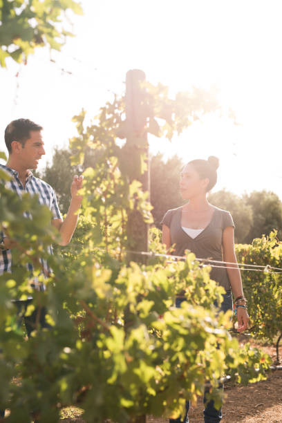 istock A man and women drinking wine in the winelands 958481084