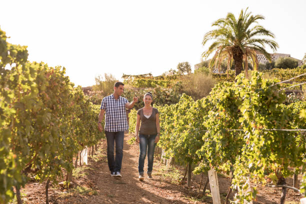 istock A couple walking through the vineyards 958481204