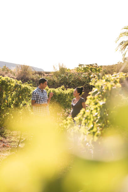 istock A couple talking in the vineyards 958483854