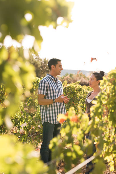 istock An attractive man talking to a woman 958483938
