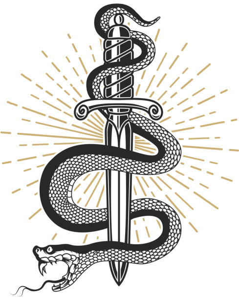 illustrazioni stock, clip art, cartoni animati e icone di tendenza di serpente su coltello in stile tatuaggio. elemento di design per t camicia, poster, carta, emblema, segno. - snake rattlesnake poisonous organism fang