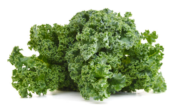 istock freshly harvested kale cabbage on a white background 958484466