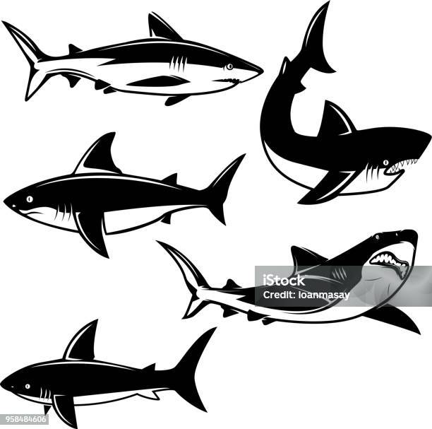 Set Of Shark Illustrations On White Background Design Element For Label Emblem Sign Stock Illustration - Download Image Now