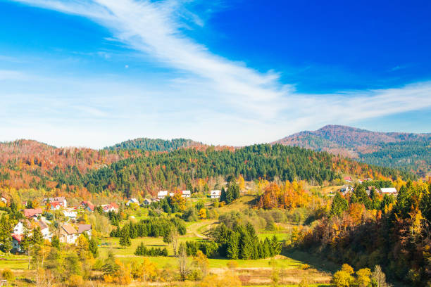 istock Lokve, Gorski kotar, Croatia 958484636