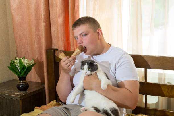 hombre y divertido gato comiendo helado en la cama - ice cream licking little boys ice cream cone fotografías e imágenes de stock