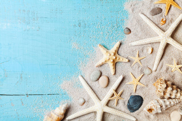 istock Summer background from seashell, starfish and sand on blue table top view. 958492794
