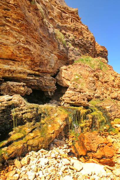 istock Cape Nelson coastline in Australia 958493216