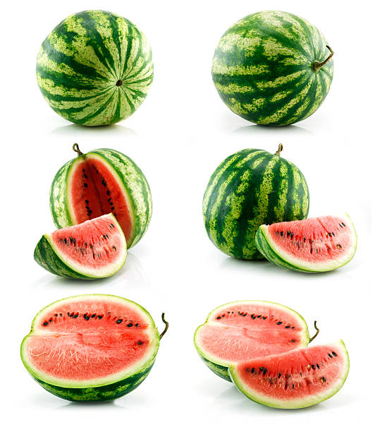 istock Set of Ripe Green Watermelon Isolated on White 95849921