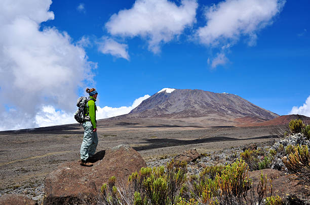 Woman hiking on Mt. Kilimanjaro stock photo