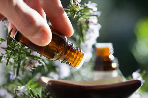 preparation with rosemary essential oils