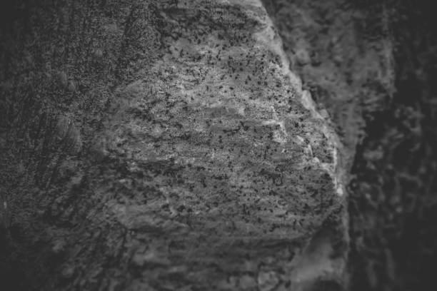 istock Close up of natural stone wall. Stone wall texture 958503338