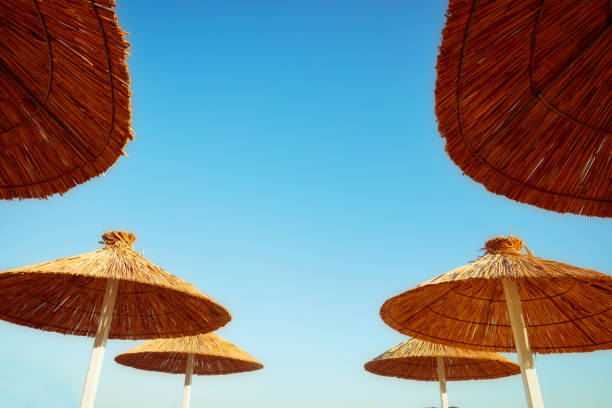 Six straw sun umbrellas under clear sky