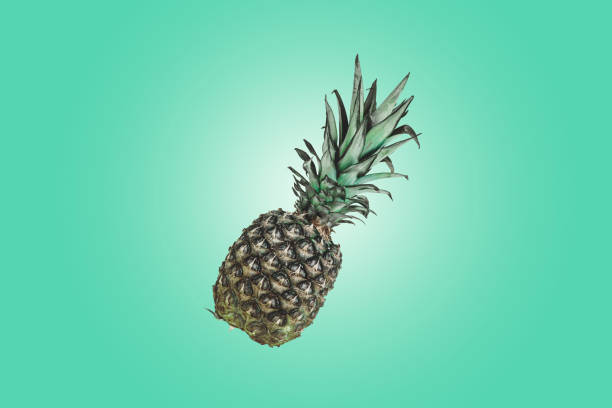istock Pineapple isolated on green pastel. Summer Color. 958511736