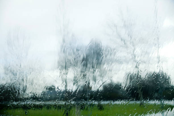 Winter landscape through the window in a rainy day. Rain drops in the foreground. Leafless trees, meadow. Galicia, Spain.