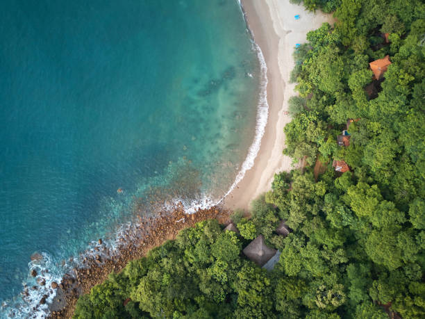 istock Aerial view of ocean beach 958518928