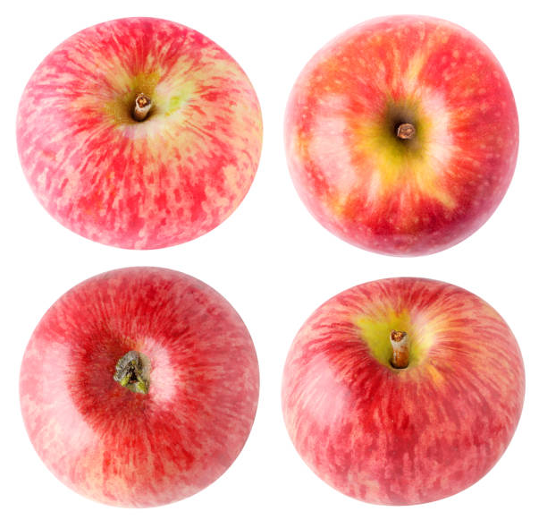 colección de aislados de manzanas - apple red delicious apple studio shot fruit fotografías e imágenes de stock