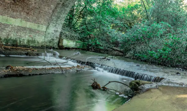 Photo of Stream under the bride in Virginia Water, Surrey, United Kingdom