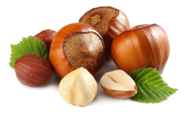istock hazelnuts with leaves isolated on white background. macro 958529630