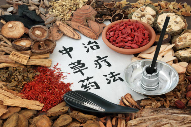 Chinese Acupuncture and Herbal Therapy Chinese acupuncture needles and moxa sticks used in moxibustion therapy with herbs used in herbal medicine and calligraphy script on rice paper. Translation reads as chinese herbal therapy. foxglove photos stock pictures, royalty-free photos & images