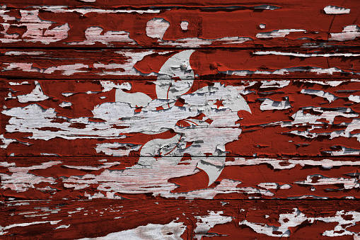 Flag of Hong Kong painted on a grunge wooden board.