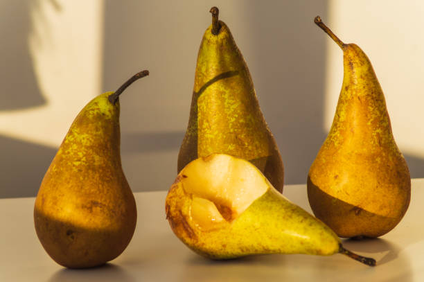 istock still life with pears in the sun 958530636