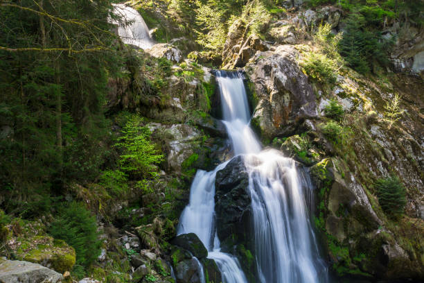 독일, 트리베르크 폭포, 검은 숲 휴일 지역에서 독일의 가장 높은 여러 테라스 - black forest waterfall triberg landscape 뉴스 사진 이미지